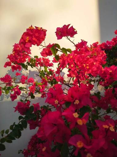 Hung Phuc Mui Ne Hotel