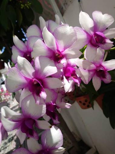 Hung Phuc Mui Ne Hotel