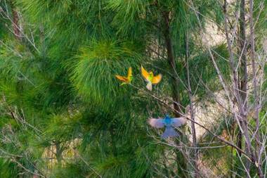 OCEAN VISTA - 1 BEDROOM