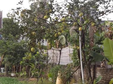 Ninh Binh Riverside Homestay 2