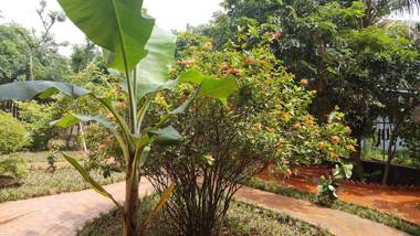 Tam Coc Mountain Lake Homestay