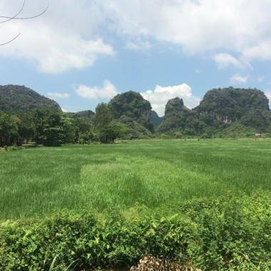 Tam Coc Tuan Minh Homestay