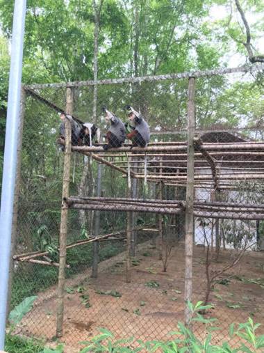 Tam Coc Cozy Homestay