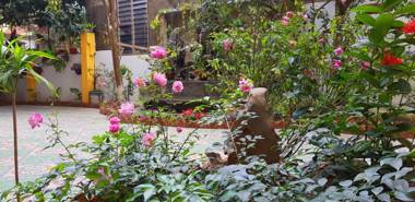 Tam Coc Paradise Homestay