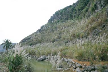 Blue Garden Homestay