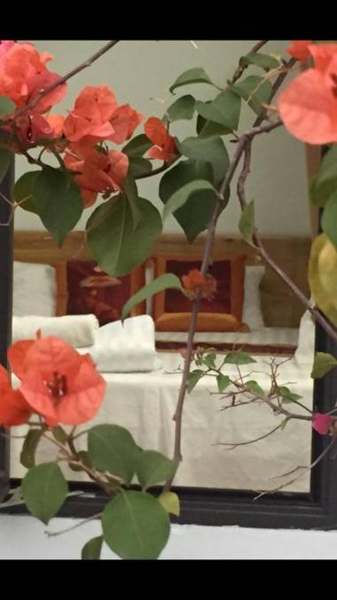 Tam Coc Scenery Homestay