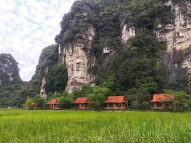 Lotus Field Homestay