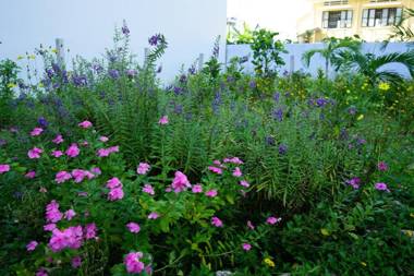 Seasing Boutique Hotel