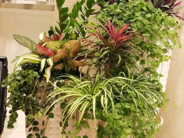 Hong Mai Hotel Nha Trang