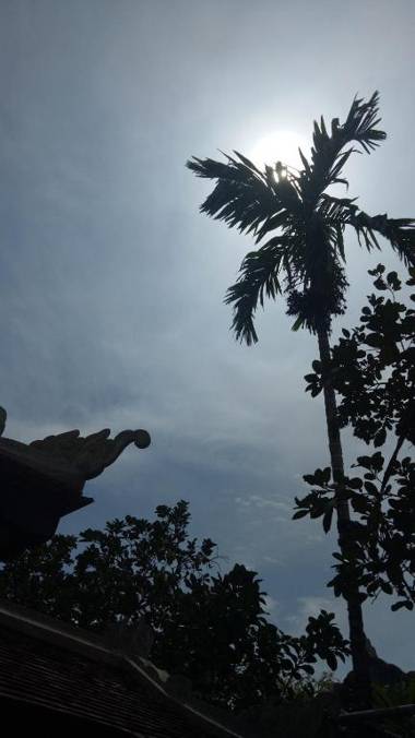 Tam Tinh Vien Homestay