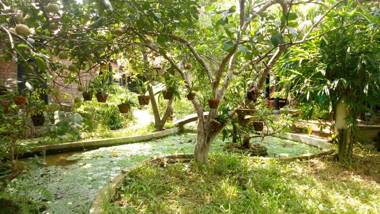 Tam Tinh Vien Homestay