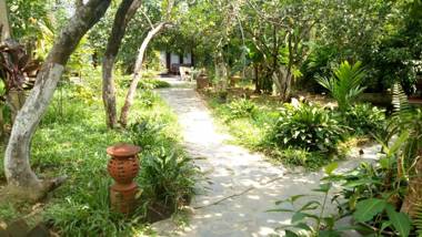 Tam Tinh Vien Homestay