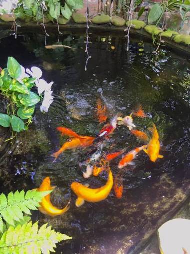 The Cau Garden House