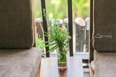 Cat Homestay