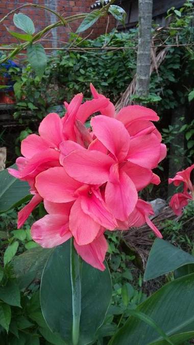 Hoi An Mountain House Villa