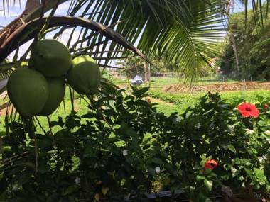 Hoi An Osaka Riverside Villa & Spa