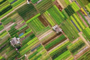 Flora Villa Hoi an By NEST