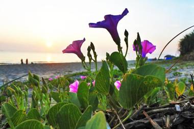 AnBang Morning Glory Beach Homestay