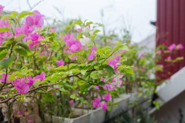 Oriental Suites Hotel & Spa