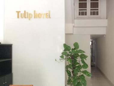Tulip Hotel - Vu Ngoc Phan