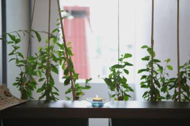 Jasmine Apartment managed by Lily Home