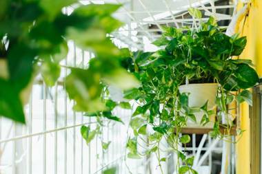 Buzz Hanoi 2 Bedroom in Old Quarter with Balcony