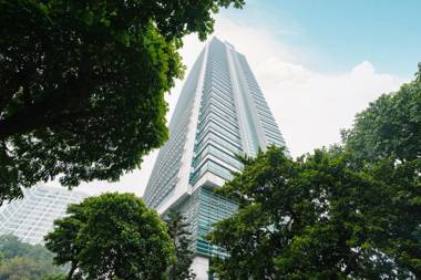 Hidden Jungle - NETFLIX/ Open area/ Airport pickup