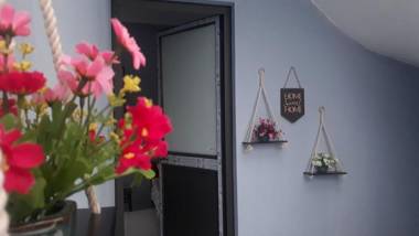 alley homestay