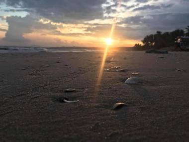 Lotus Garden Muine Resort & Spa