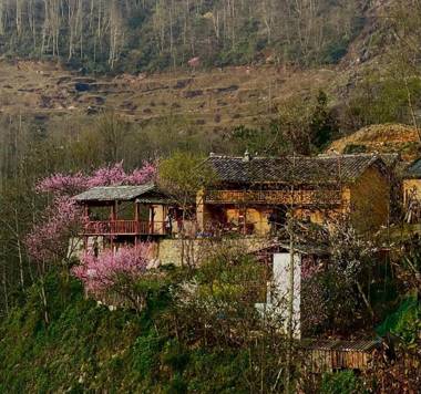 Núi Hoa Homestay