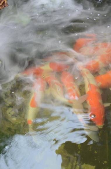 La'ANh Boutique Stay