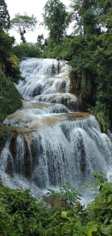 Pù luông homestay Ngọc Dậu