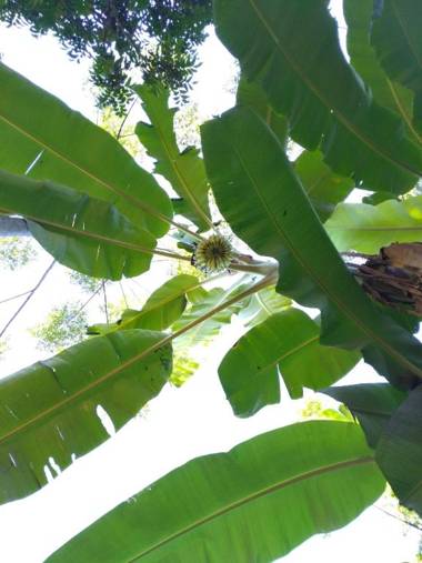 PU LUONG BOUTIQUE GARDEN