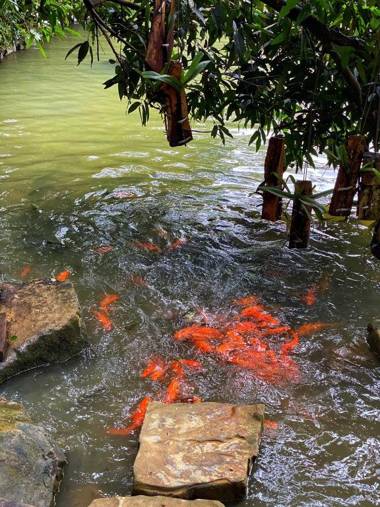 Pu Luong Jungle Lodge