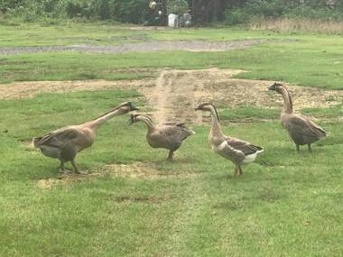 Mộc Nhiên Homstay Mai Chau