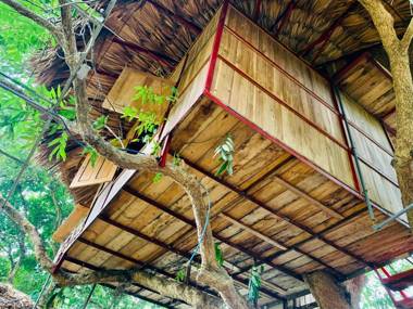 Artist Tree House Muong Retreat