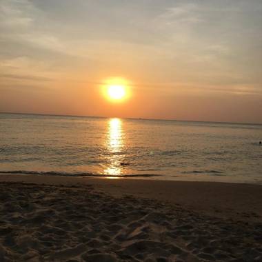 The Palm Tree Guesthouse