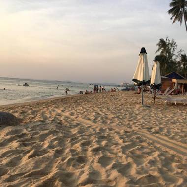 The Palm Tree Guesthouse