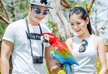 Vinpearl Resort & Spa Phu Quoc