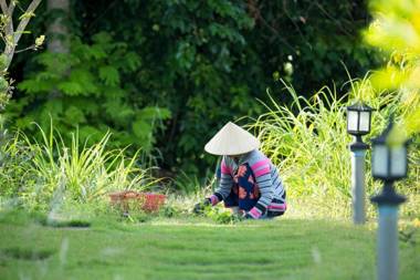 Spring Garden Homestay