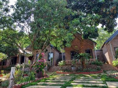 catba spring homestay