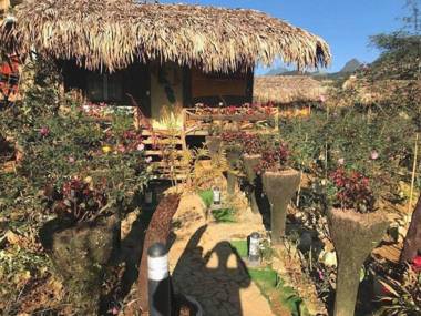 Homestay Vuon Hong Co