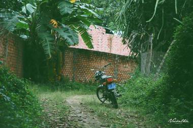 Vuon Thu Guest House Garden