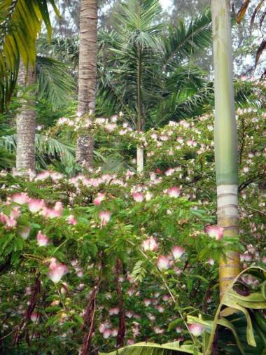 Coral Motel & Apartments