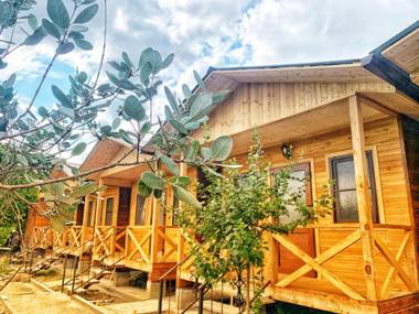 Guest House Divny Sad