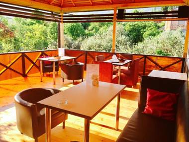 Guest House Divny Sad