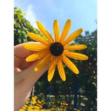 Гостевой дом Chernomor