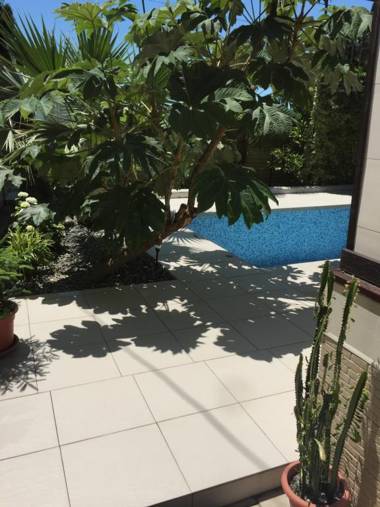 Svetlana Guest House