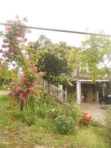 Guest house na Myasnikova ZHANET