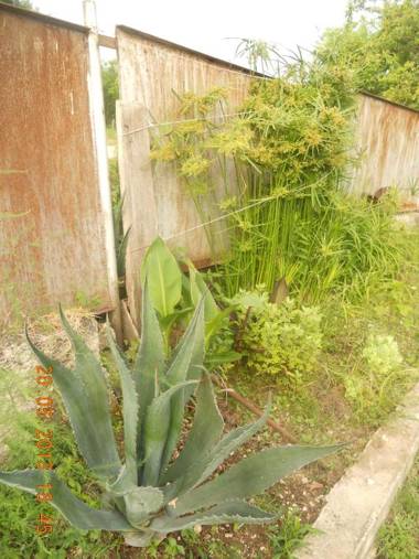 Guest house na Myasnikova ZHANET